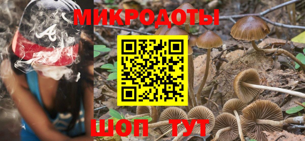 Галлюциногенные грибы Psilocybe Заринск