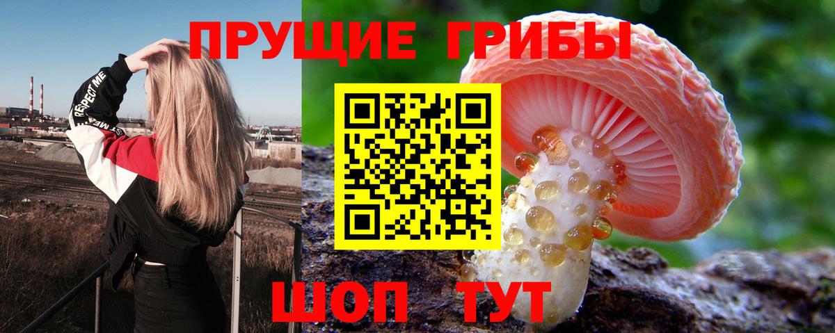 Галлюциногенные грибы мицелий  Псилоцибиновые грибы Psilocybine cubensis  Заринск  Вход с VPN 